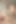 Transerotica afrodit adams anal crystal thayer tarafından sikiliyor
