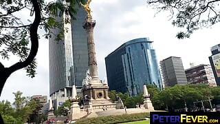 Peter Fever