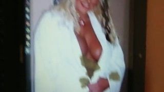 Tribute to a buxom Somerset Milf