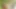 Submissive gardener toyed around by two fatties