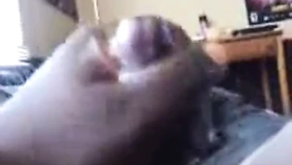 nut!