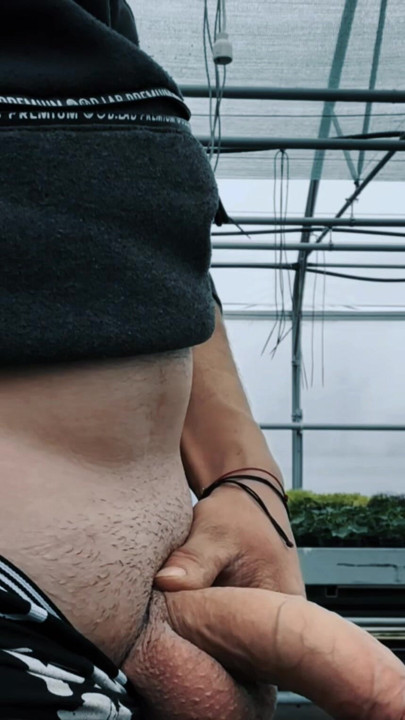 Trezirea de dimineață