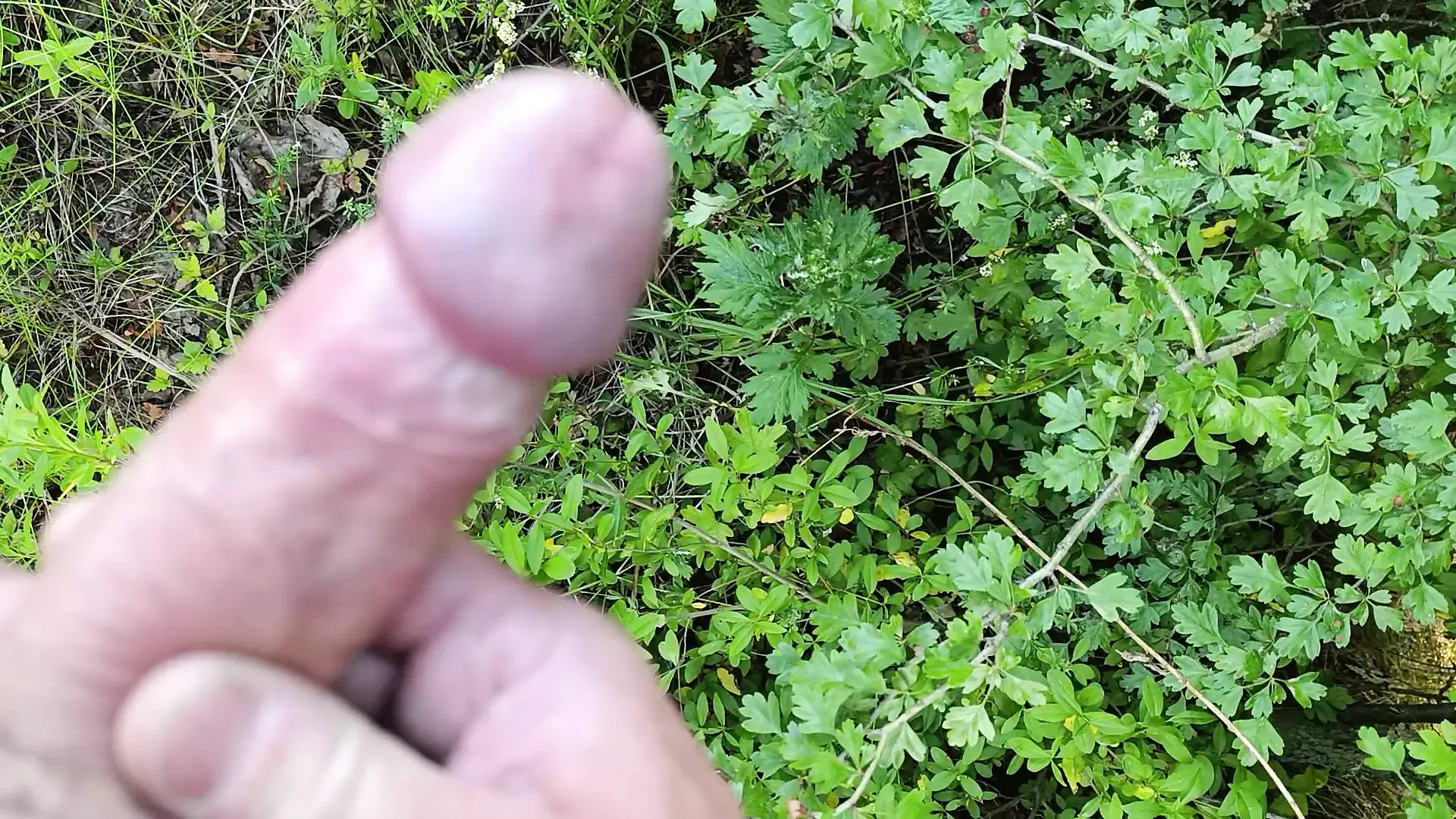 O femeie excitată s-a masturbat pe marginea drumului