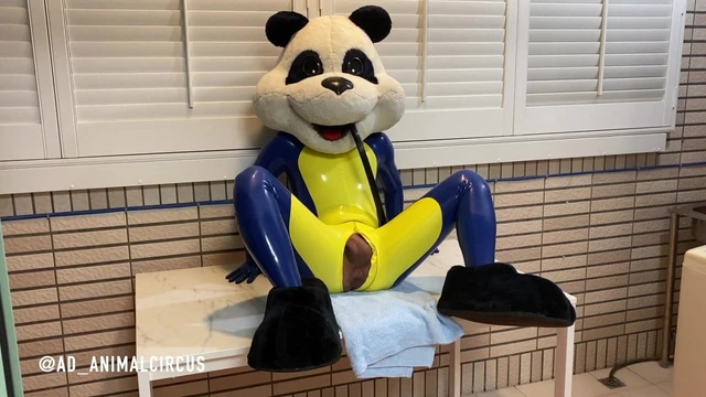 Feeding Mascot Panda A Egg