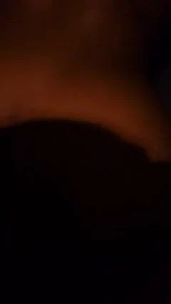 मोटी गांड कुत्ते शैली में