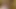 Hot Asian Amateur Teen Masturbates on the Toilet!