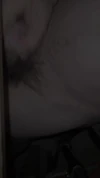 Videó előnézete