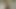 Gentonline - киска Brandy Talore течет над большим толстым членом
