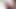 Hairyandraw, reife rostige Mcmann, behaarte Atlas Grant, rohe Rassen