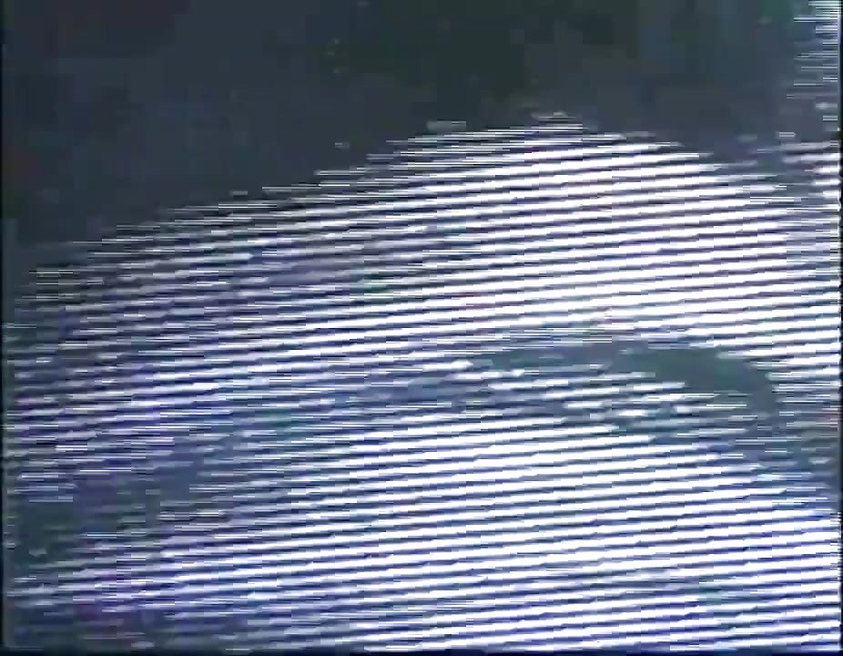 Menjilat pepek hitam berkongkek di atas meja kolam