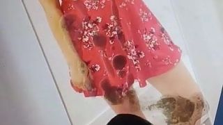 Cum tribute to my cute EX gf with her sexy summer dress