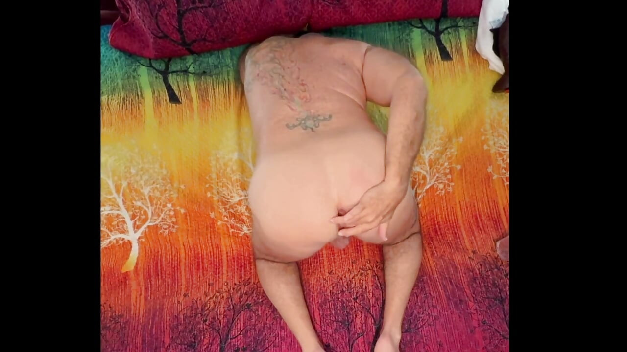 혹 데이 셰니건스