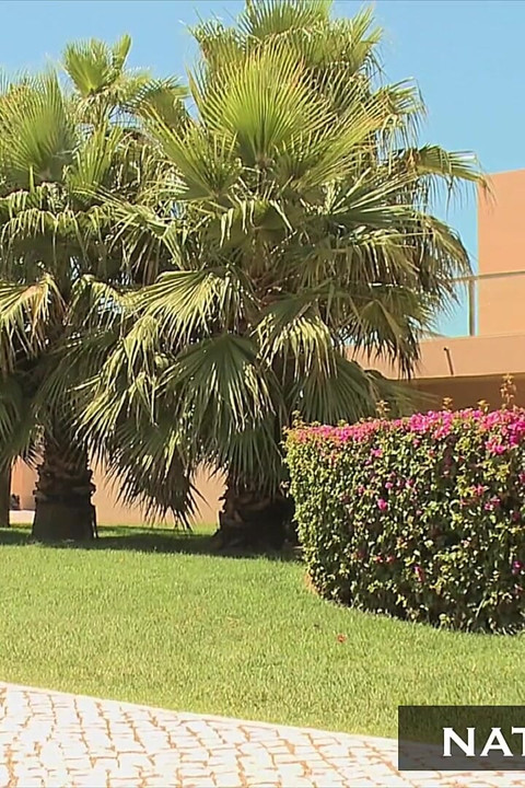 屁股钻孔房地产经纪人 - carla Cox