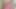 Worshipped trans doll gets cocksucked by lucky guy