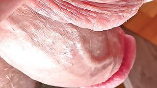 Detalii foarte precise ale pulii și testiculelor în cea mai bună calitate