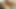 Raweuro ohne Bareback, junge Schwule betteln um Schwanz und Sperma