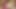 I want you to gag me with your big hard cock