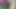 DWT - Outdoor blowing in the forest - Cumshot