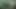 Tasks from the Master 30.06.2020