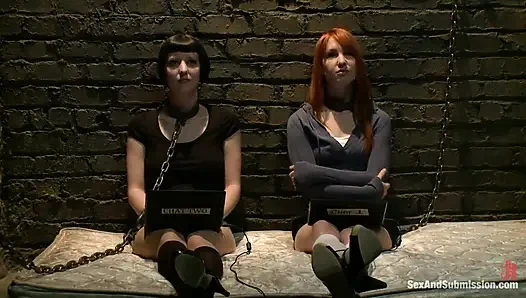 Calico ve Cherry Torn'un canlı yayını