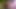 ライザ!