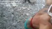 Videoförhandsgranskning