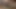 Dari sarapan, cewek sange ini ngentot habis-habisan sama solazola sampai telan sperma hangatnya