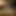 Stepdaughter Goes Into the Forest with Her Stepfather