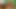 Day 19 Wife Breeding Attempt - SexyGamingCouple