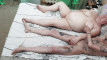 Pregled videozapisa