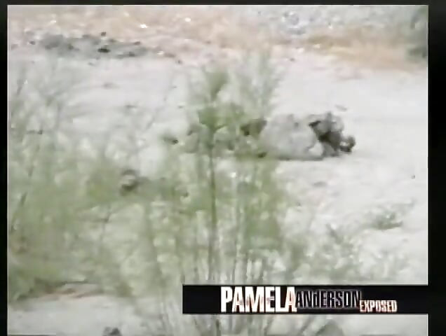 Pamela Anderson exposta em sedução de iate selvagem