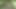 Geile Deutsche fickt im Wald