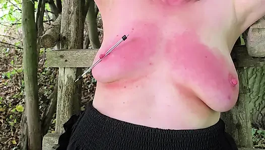 Red breasts with nipple braces