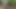 Mature blowjob captive in the woods