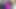 彼女がどう同意するか知らなかった
