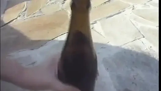 Küçük memeli genç sarışın özetleyen sürtük yasmine gold havuzun yanında baskın erkek arkadaşı tarafından sikiliyor