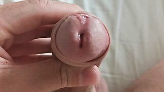Shaved Cock