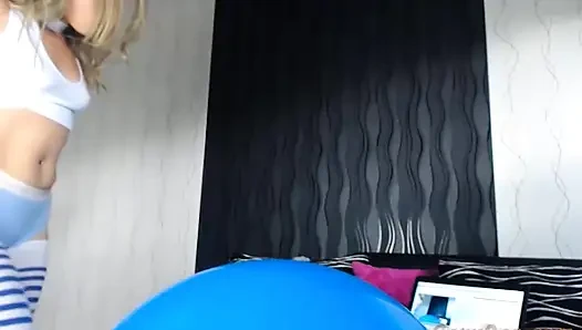 Büyük mavi taşaklar canlı
