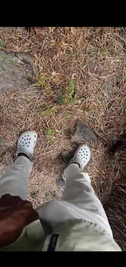 The fun of landing in the forest is different.