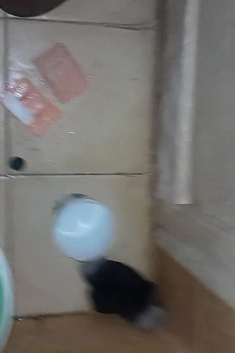 Torba seksi ljubav za borm