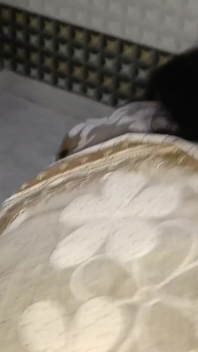 Indian Desi Bhabi Sudipta Hard Fucking With Lover - Real Homemade | Clip 1