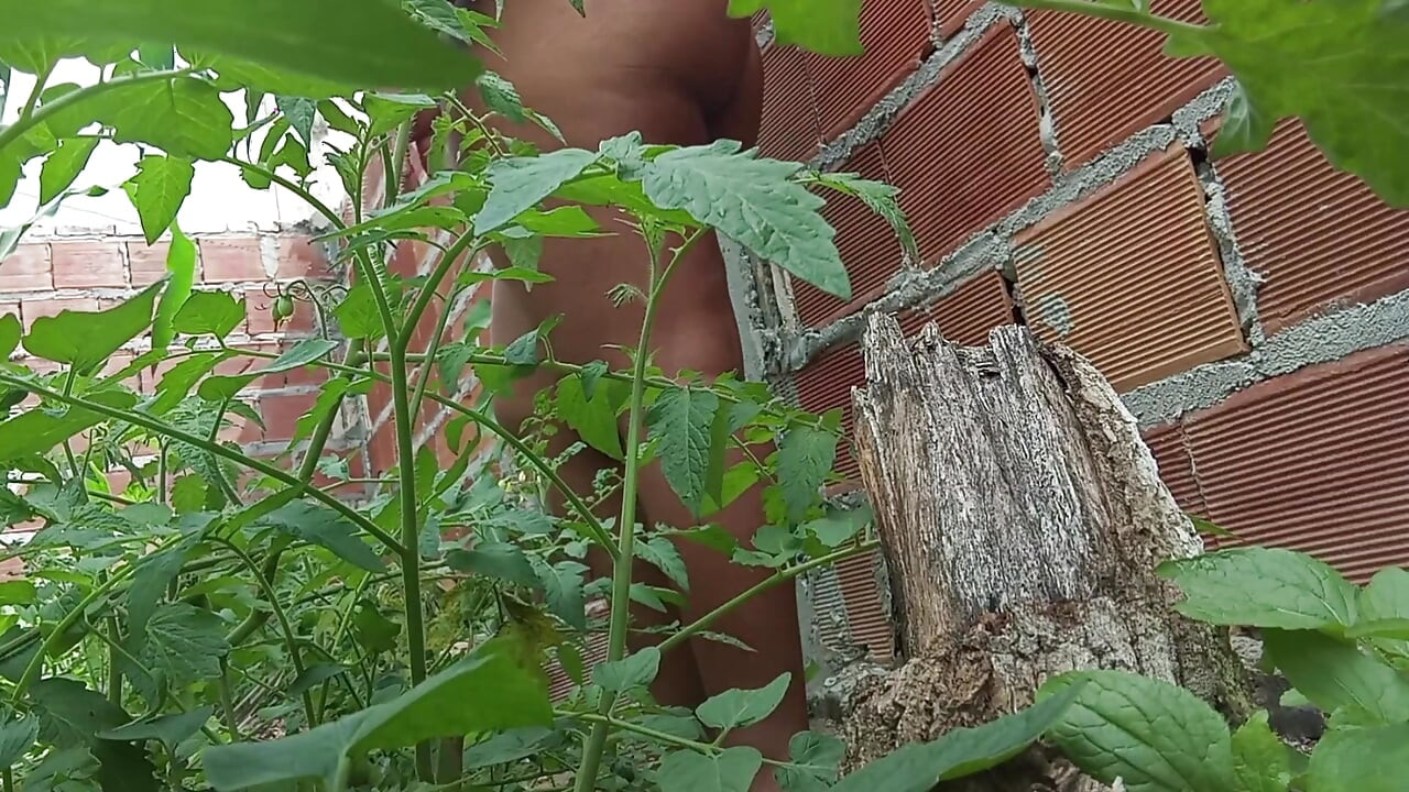 Bbw amatööri kotitekoinen iso perse mija no mato