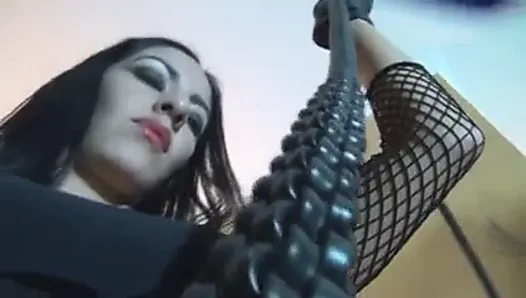 stunning mistress whipping slave