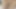 Quiet Masturbation