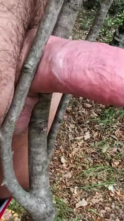 Unforgettable moment from "TREE FUCK AND BIG LOAD"