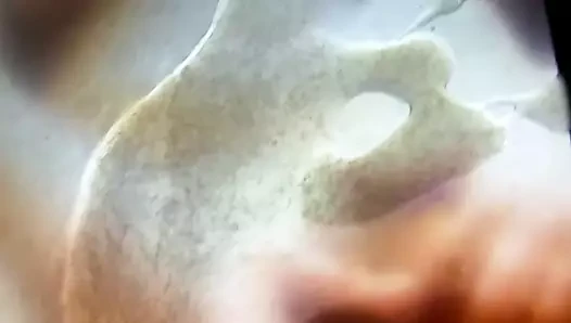 Mollytribute
