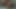 Amateur POV Blowjob#2 -Vanessa 2012