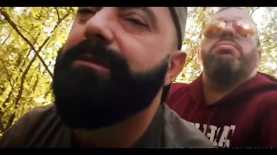 Bears Nature