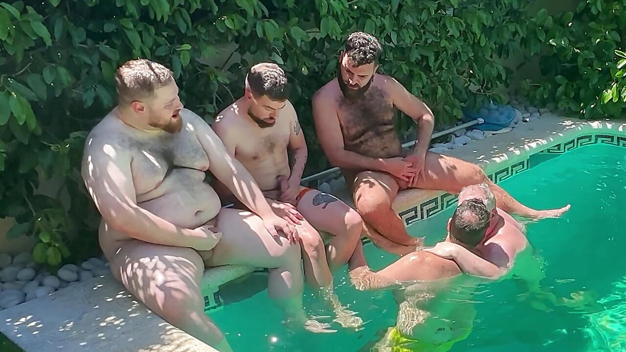 A Bunch of Bears in the Pool