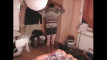 Pratinjau video